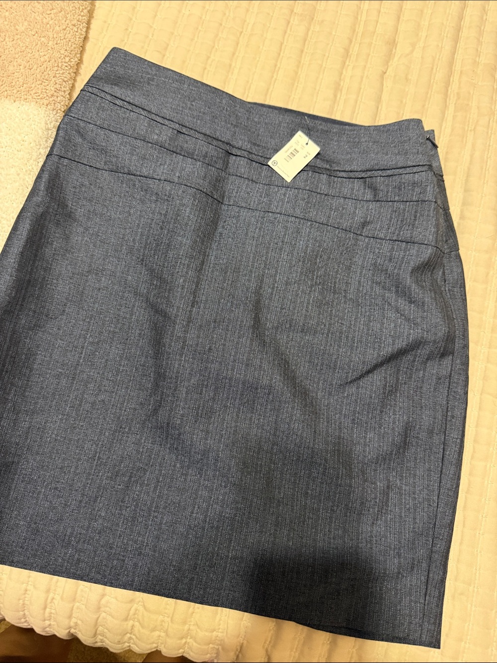 The Limited skirt
